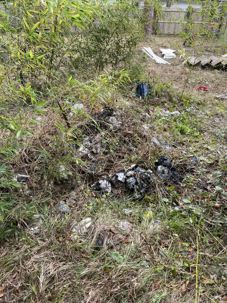 Reliable landscaping services in Port Richey, FL by Get Off My Lawn