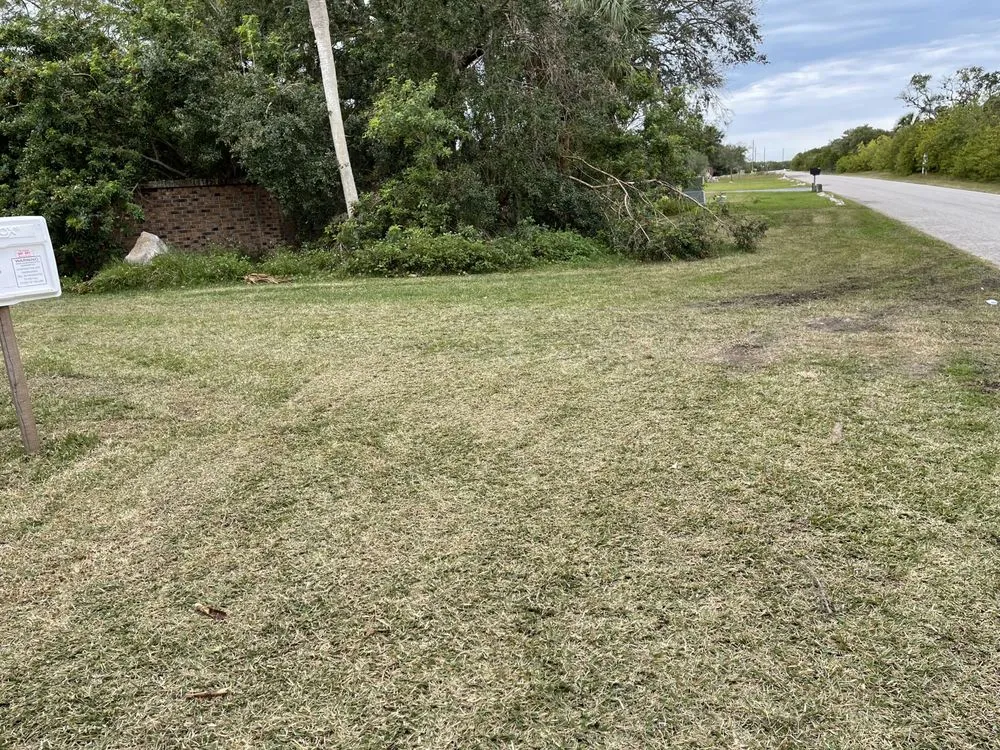 Affordable yard cleanup service in Port Richey, FL by Get Off My Lawn