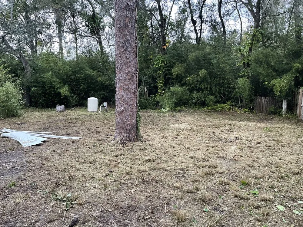 Custom lawn care service in Port Richey, FL by Get Off My Lawn