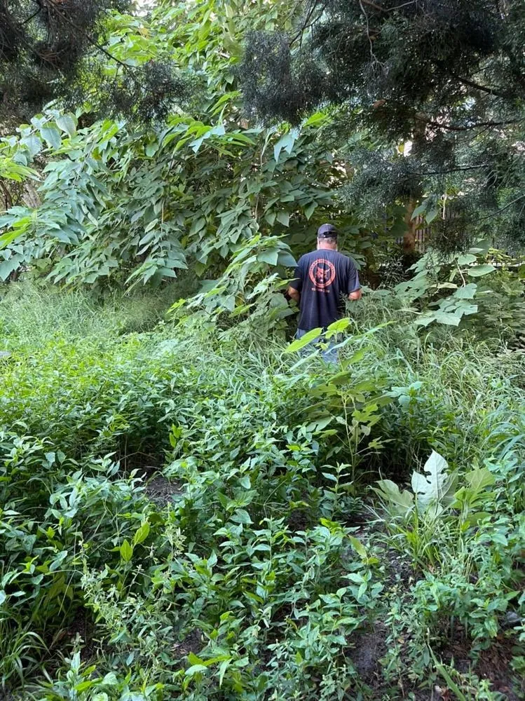 Expert yard maintenance experts serving Port Richey, FL - Get Off My Lawn