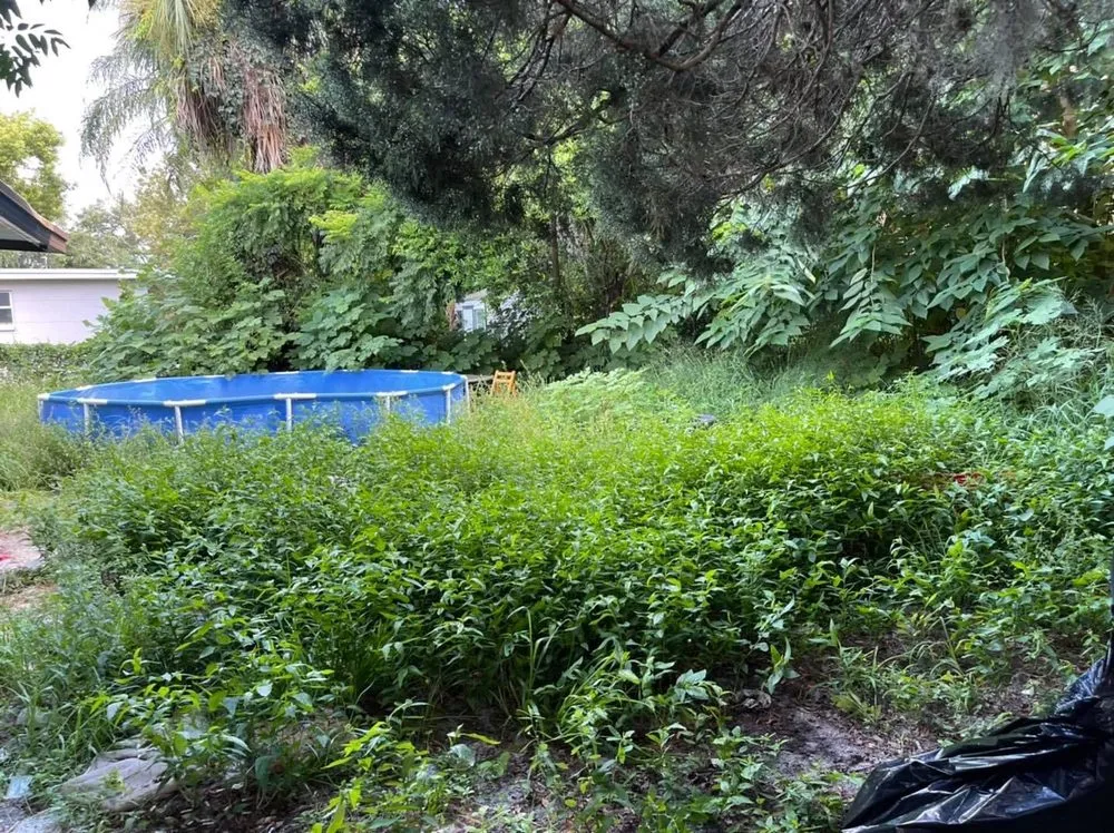 Custom landscape design in Port Richey, FL - Get Off My Lawn