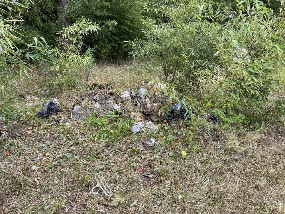 Reliable residential landscaping experts serving Port Richey, FL - Get Off My Lawn