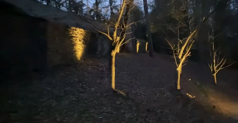 Local yard cleanup service in Alabaster, AL - Get Premier Green