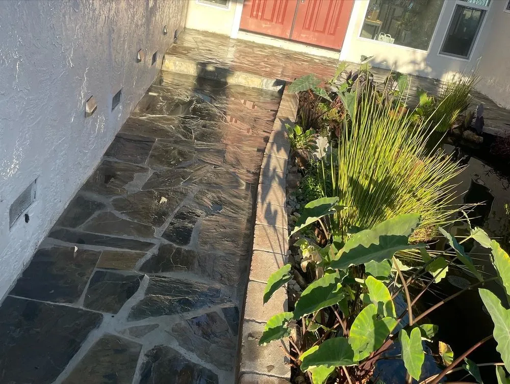 Professional yard maintenance experts serving San Jose, CA - Get Pro Landscaping & Management Inc.