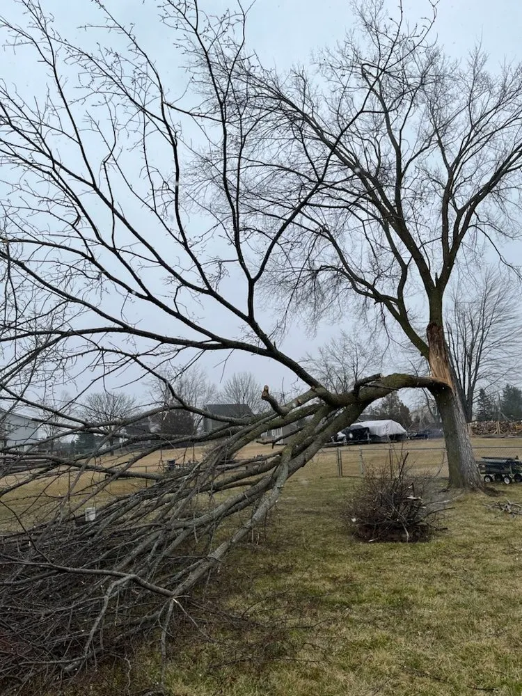 Local outdoor landscaping in Onsted, MI - GET Property Services