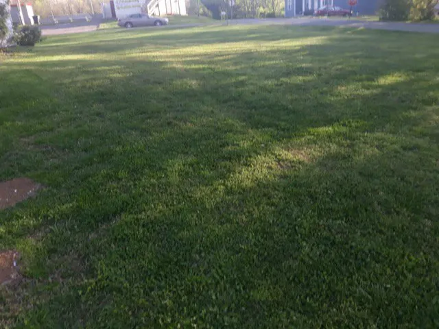 Local yard cleanup service experts serving Woodburn, KY - Get R Done Lawn Care And More