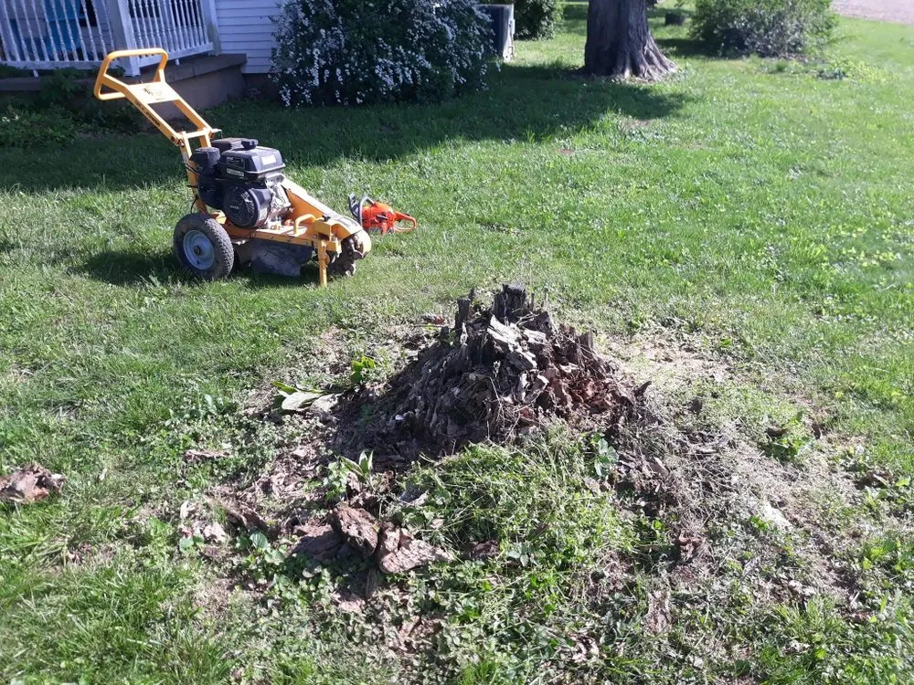 Reliable landscaping services in Woodburn, KY by Get R Done Lawn Care And More