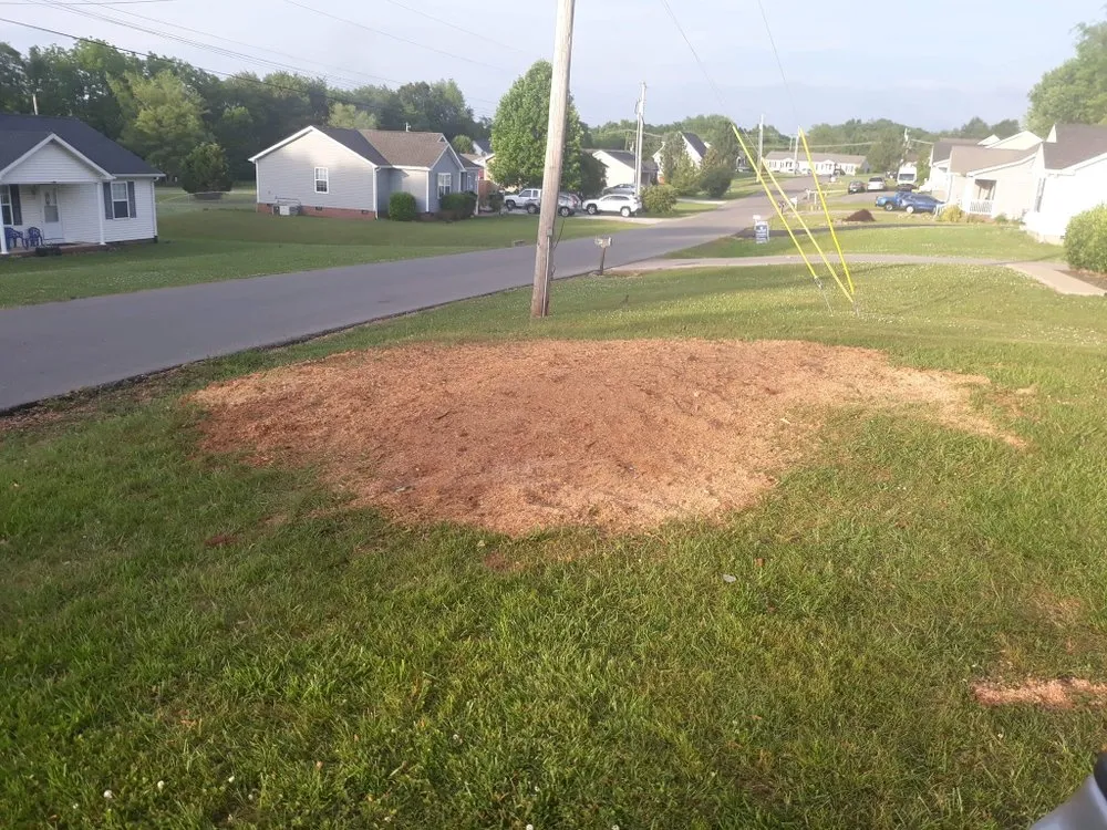 Top-rated lawn care service experts serving Woodburn, KY - Get R Done Lawn Care And More