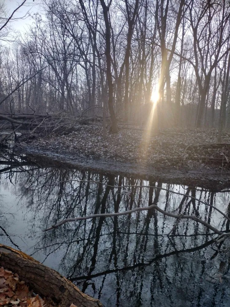 Affordable landscape installation with custom design across Racine, WI - Get R Done