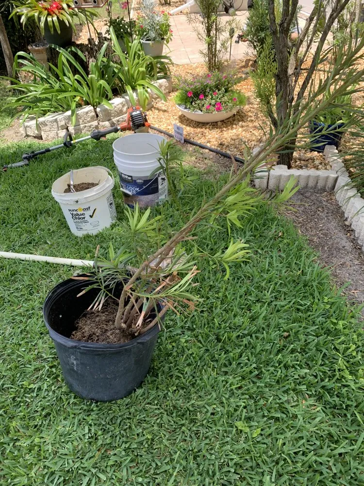 Expert landscape installation for outdoor upgrades across Dunnellon, FL - Get R Green Sod and Landscaping