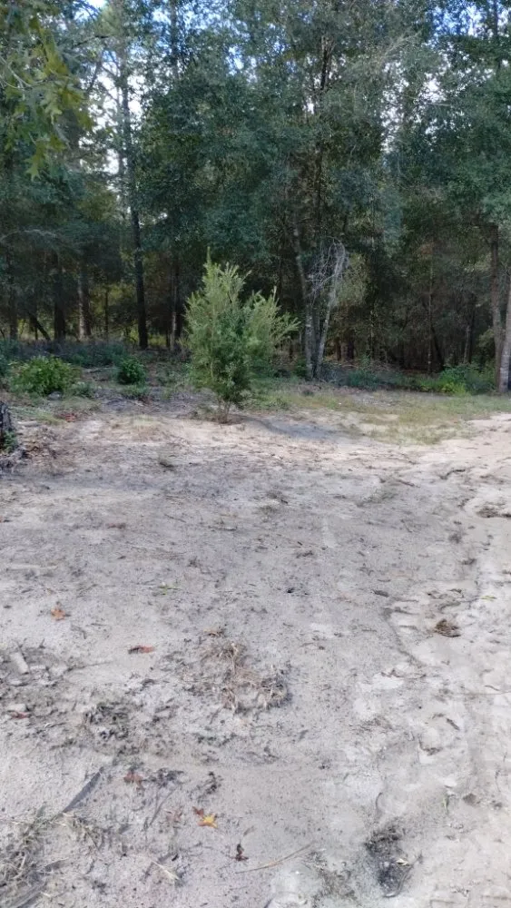 Custom yard maintenance in Dunnellon, FL by Get R Green Sod and Landscaping