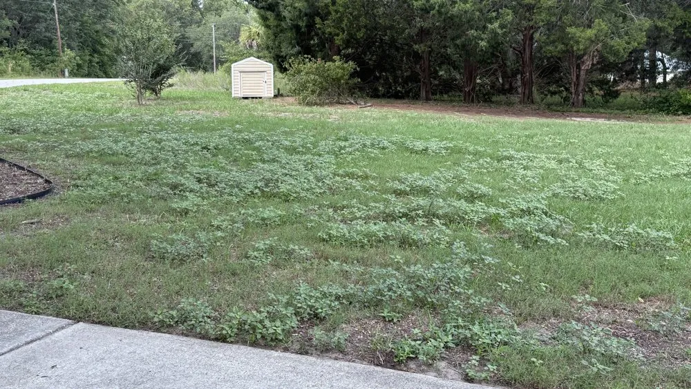 Local yard maintenance in Dunnellon, FL - Get R Green Sod and Landscaping