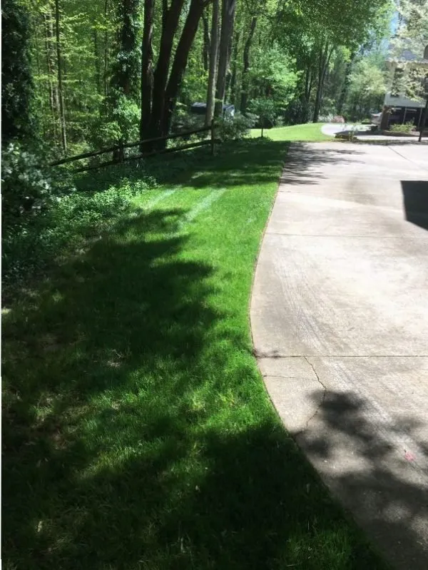 Local landscape installation in Winston-Salem, NC by Get Ready Mow