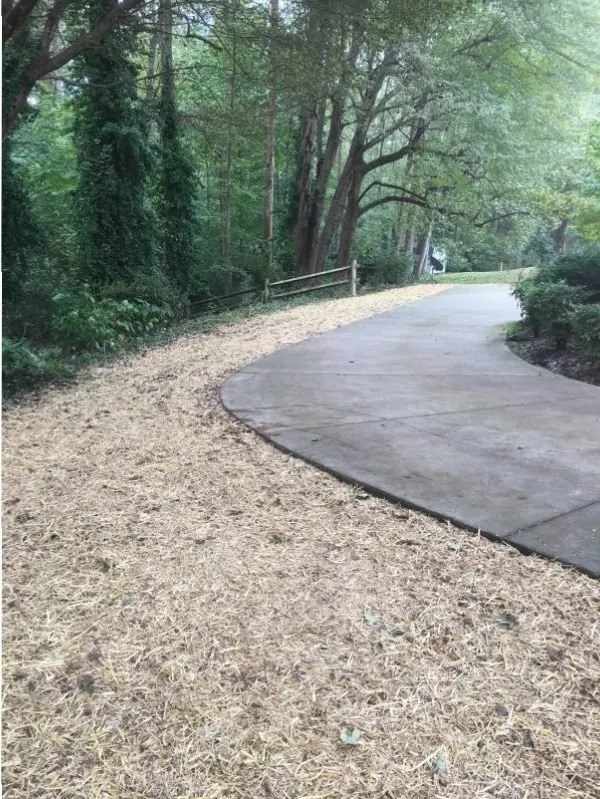 Affordable yard maintenance for beautiful yards across Winston-Salem, NC - Get Ready Mow