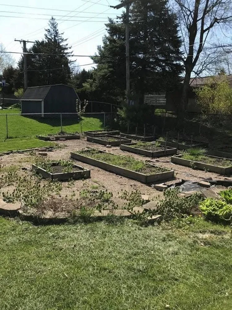 Trusted landscaping services in Gary, IN - Get Rid Of It