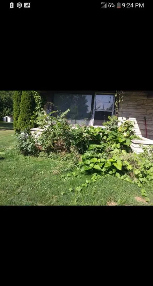 Professional yard cleanup service in Gary, IN - Get Rid Of It