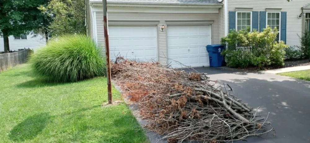 Expert outdoor landscaping for year-round maintenance across Trenton, NJ - Get Rite Lawn Care