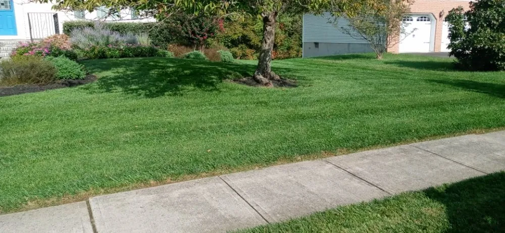 Reliable landscape design for outdoor upgrades across Trenton, NJ - Get Rite Lawn Care