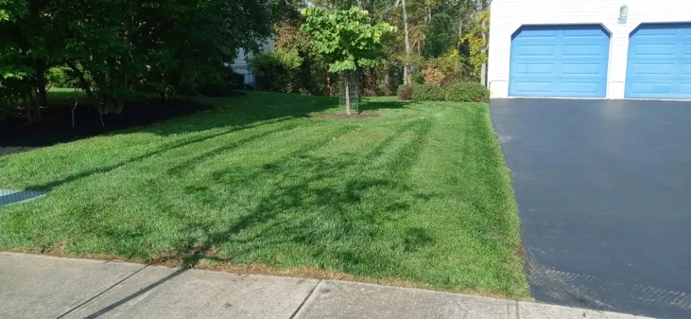 Local yard maintenance in Trenton, NJ by Get Rite Lawn Care