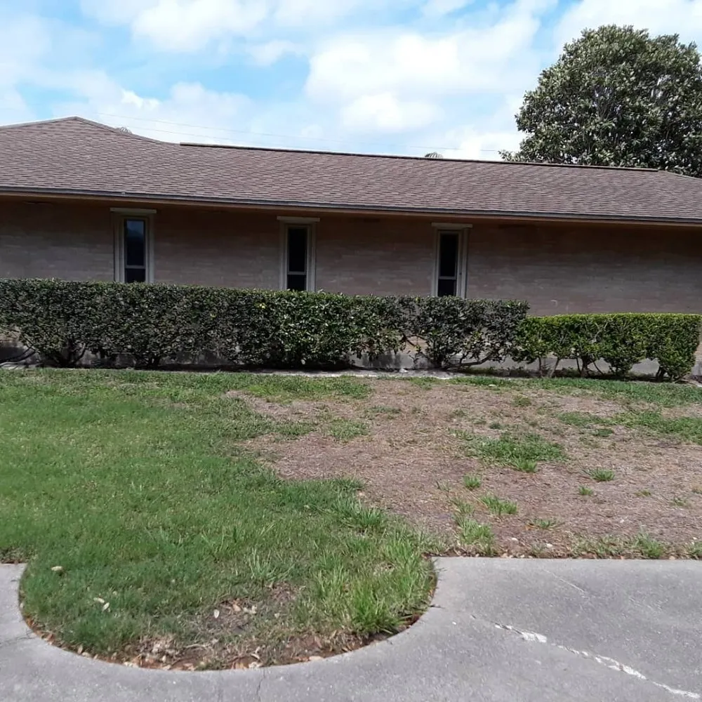 Top-rated landscaping services experts serving Corpus Christi, TX - Get Strong Lawn Care & Landscaping