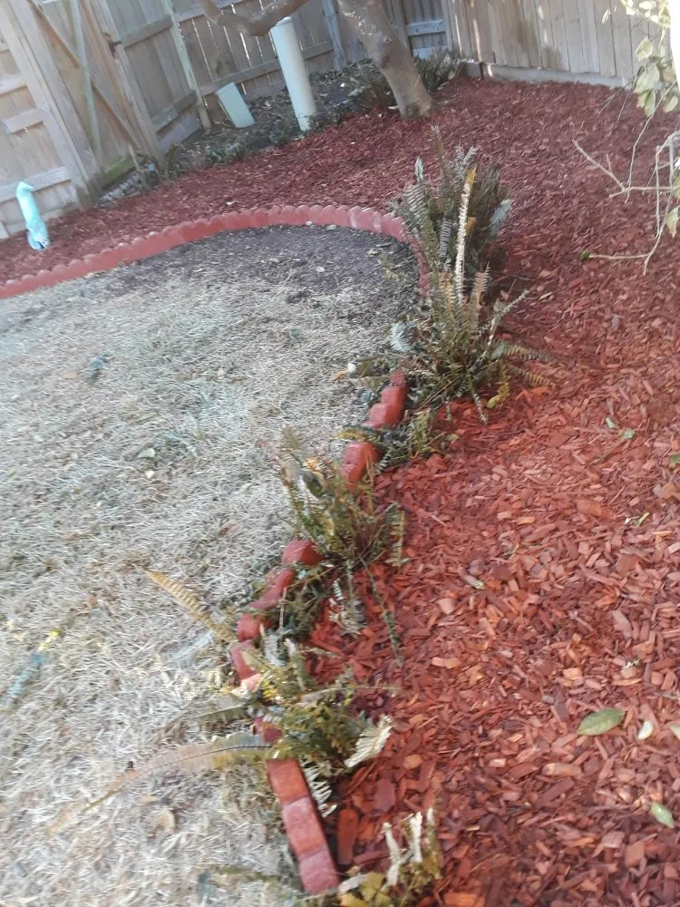 Top-rated lawn care service in Corpus Christi, TX by Get Strong Lawn Care & Landscaping