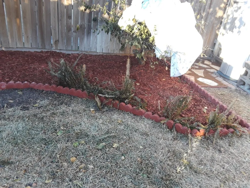 Reliable lawn care service experts serving Corpus Christi, TX - Get Strong Lawn Care & Landscaping