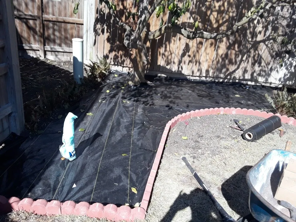 Affordable lawn care service for outdoor upgrades in Corpus Christi, TX by Get Strong Lawn Care & Landscaping