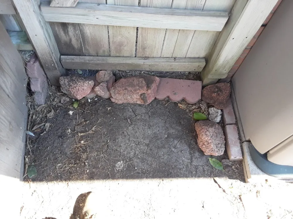 Trusted lawn care service in Corpus Christi, TX - Get Strong Lawn Care & Landscaping