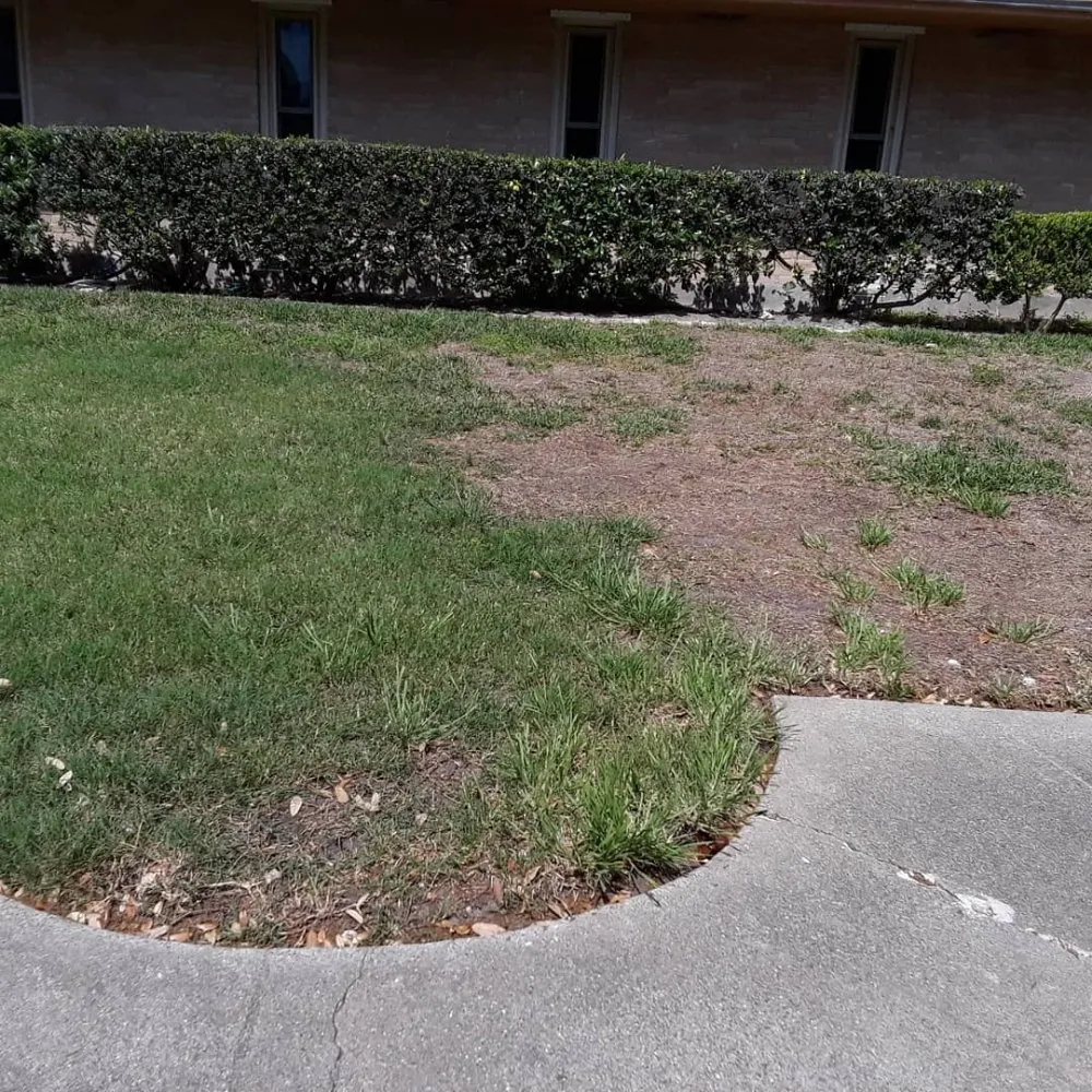 Trusted garden landscaping for homes across Corpus Christi, TX - Get Strong Lawn Care & Landscaping