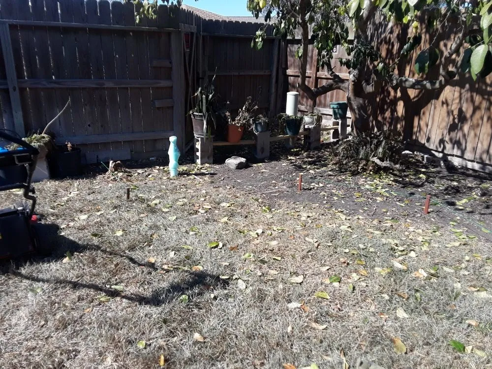 Top-rated outdoor landscaping experts serving Corpus Christi, TX - Get Strong Lawn Care & Landscaping