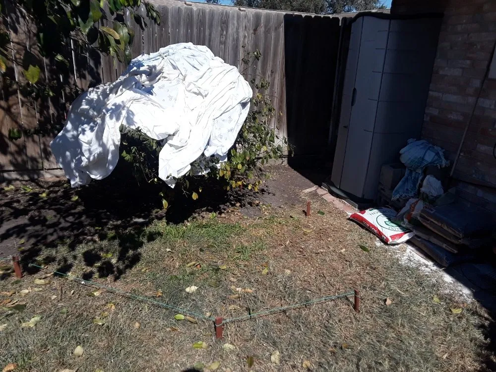 Affordable outdoor landscaping in Corpus Christi, TX by Get Strong Lawn Care & Landscaping