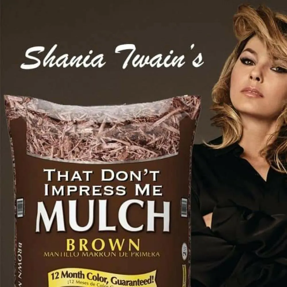 Reliable lawn care service in Midlothian, TX - Get Stuff Done Landscape Maintenance