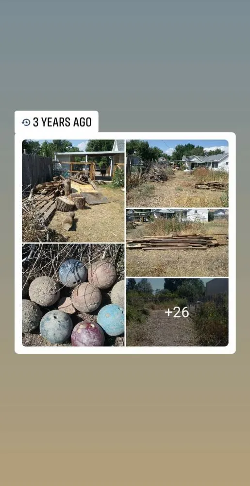 Local landscaping services in Midlothian, TX by Get Stuff Done Landscape Maintenance