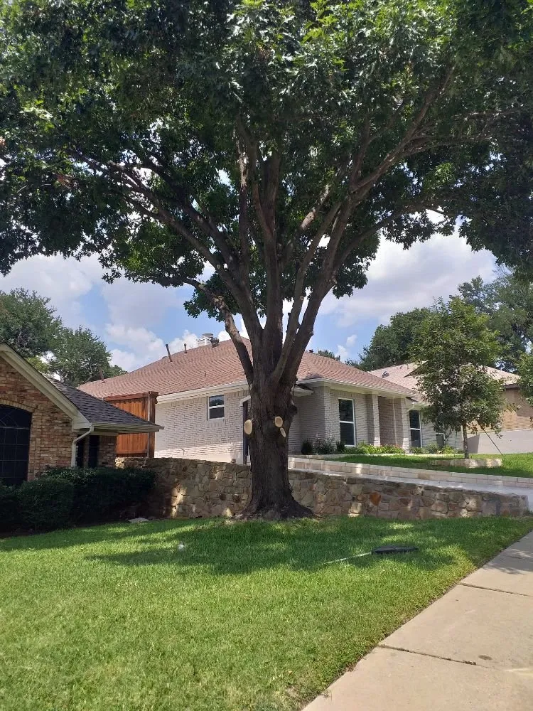 Expert garden landscaping experts serving Midlothian, TX - Get Stuff Done Landscape Maintenance