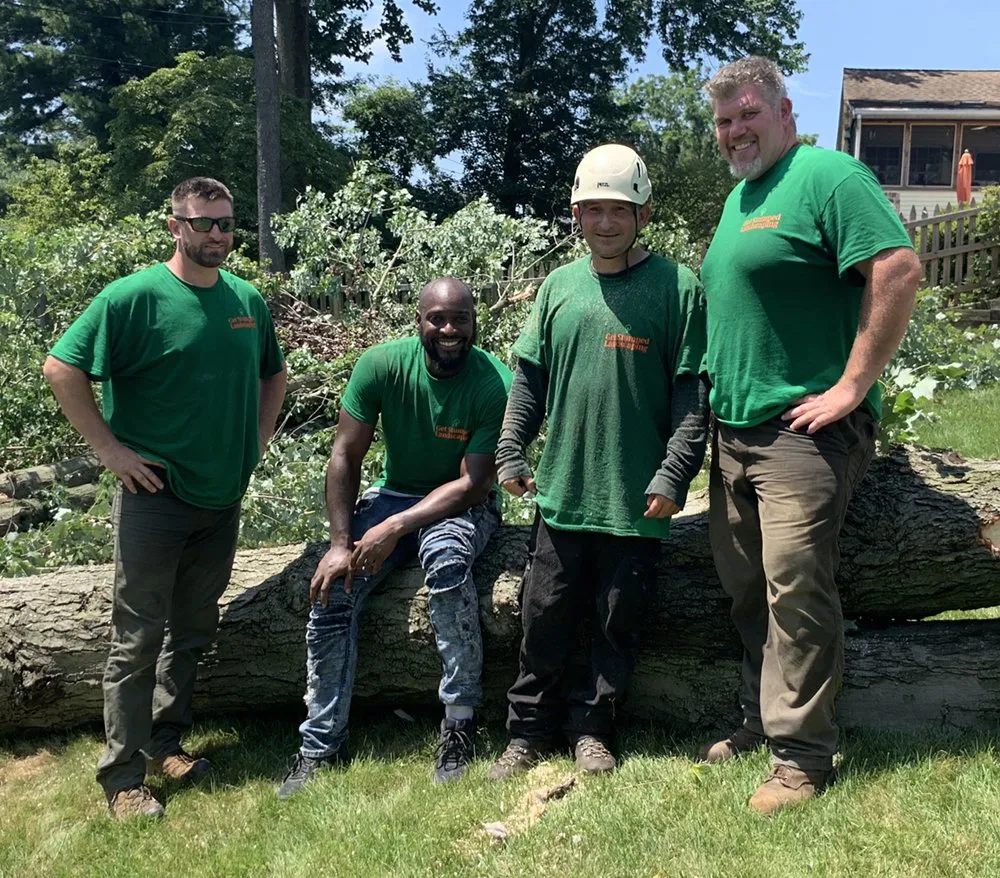 Custom yard cleanup service experts serving Bear, DE - Get Stumped Tree & Landscaping