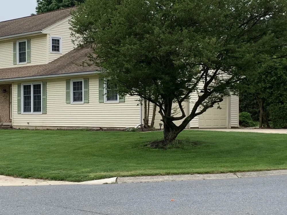 Local landscape design with custom design in Bear, DE by Get Stumped Tree & Landscaping