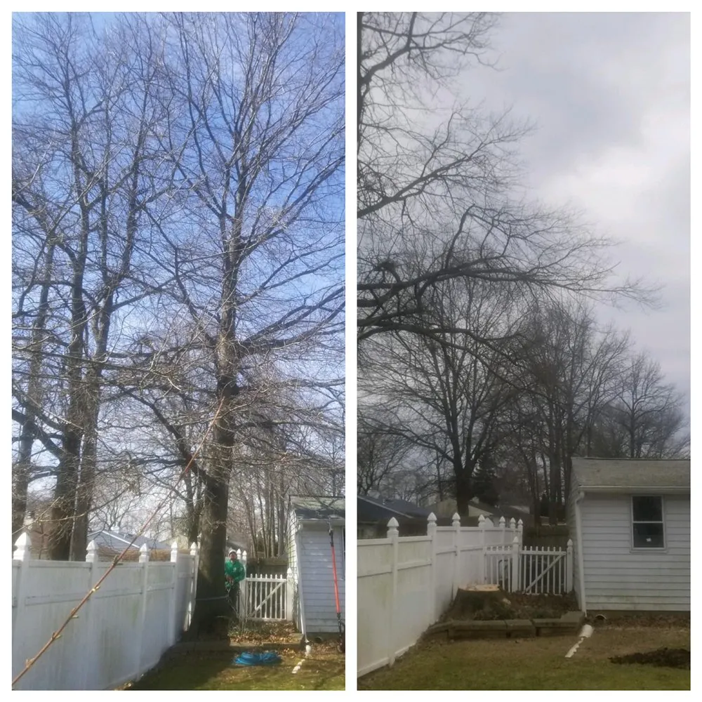 Trusted lawn care service in Bear, DE - Get Stumped Tree & Landscaping