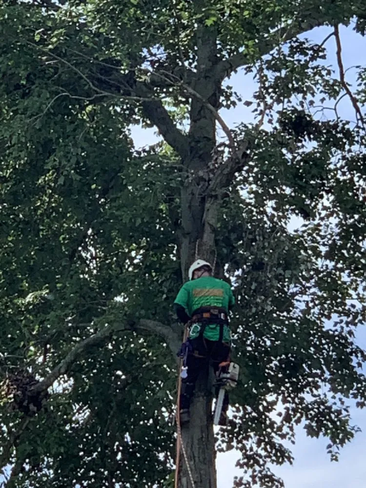 Local garden landscaping near you across Bear, DE - Get Stumped Tree & Landscaping