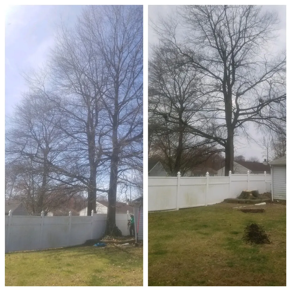 Local outdoor landscaping in Bear, DE - Get Stumped Tree & Landscaping