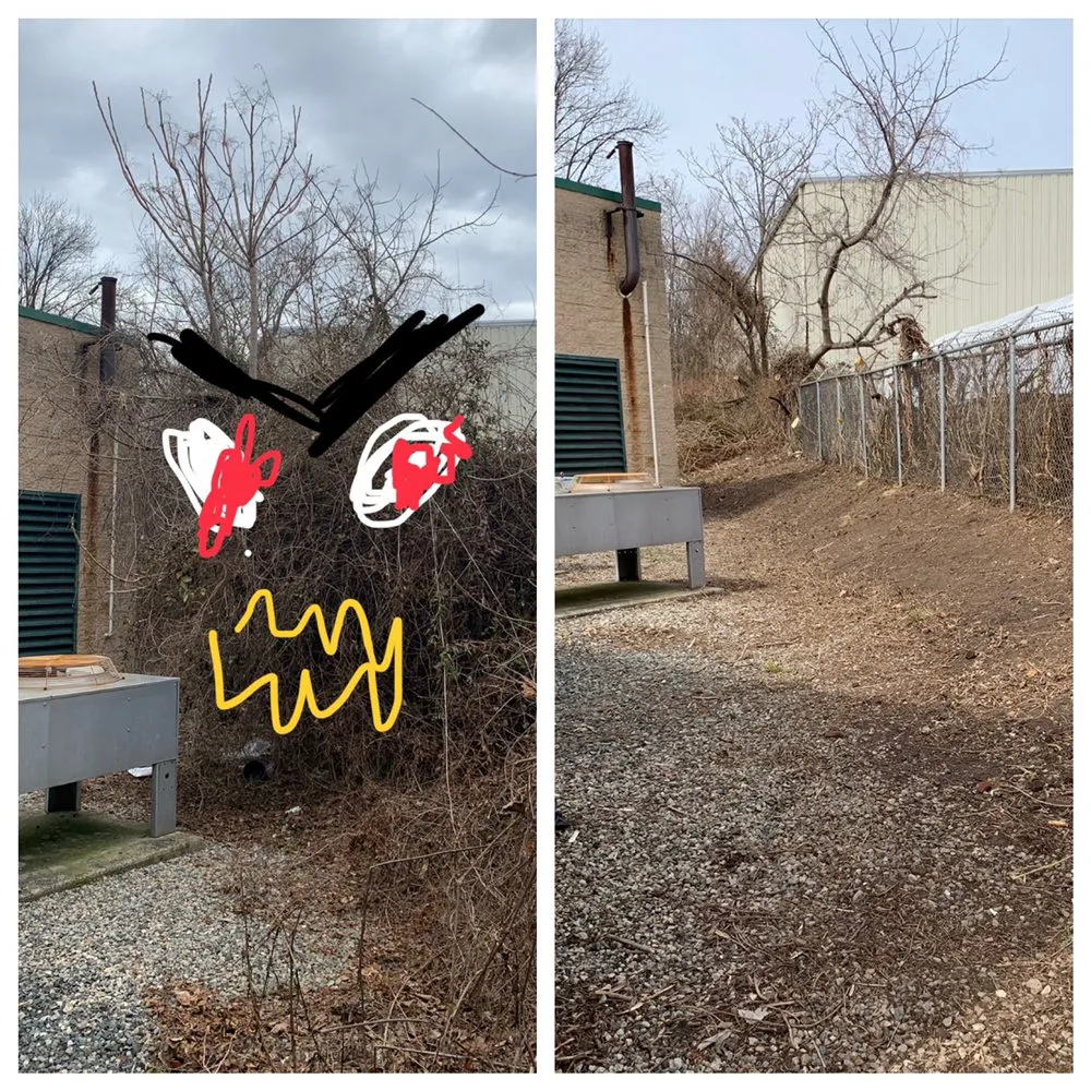 Affordable landscape installation experts serving Bear, DE - Get Stumped Tree & Landscaping