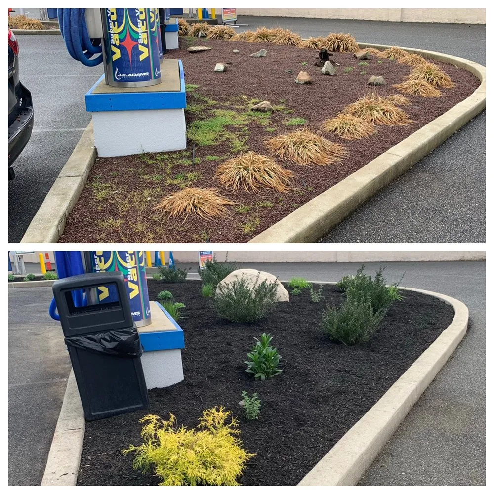 Reliable residential landscaping in Bear, DE - Get Stumped Tree & Landscaping