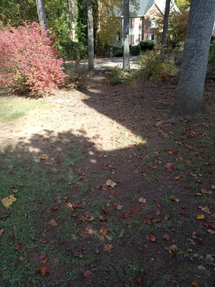 Local landscape design experts serving Walkertown, NC - Get Them Gone Leaf Removal