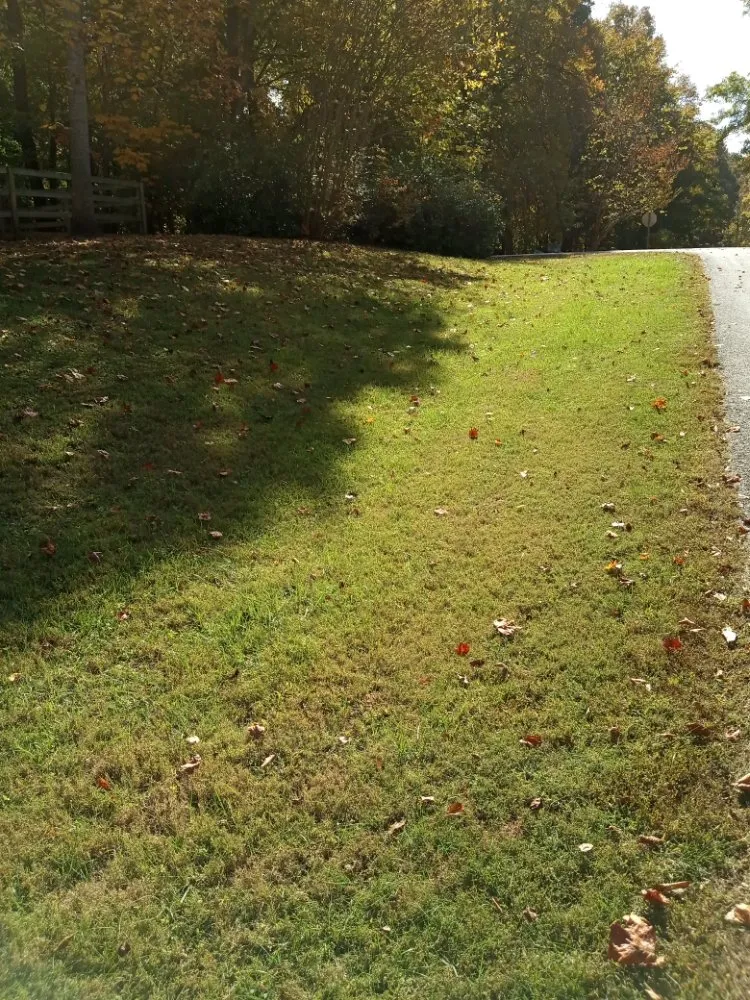 Expert landscape installation experts serving Walkertown, NC - Get Them Gone Leaf Removal