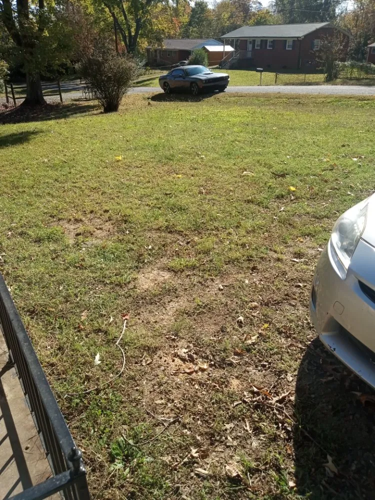 Reliable landscape design in Walkertown, NC - Get Them Gone Leaf Removal