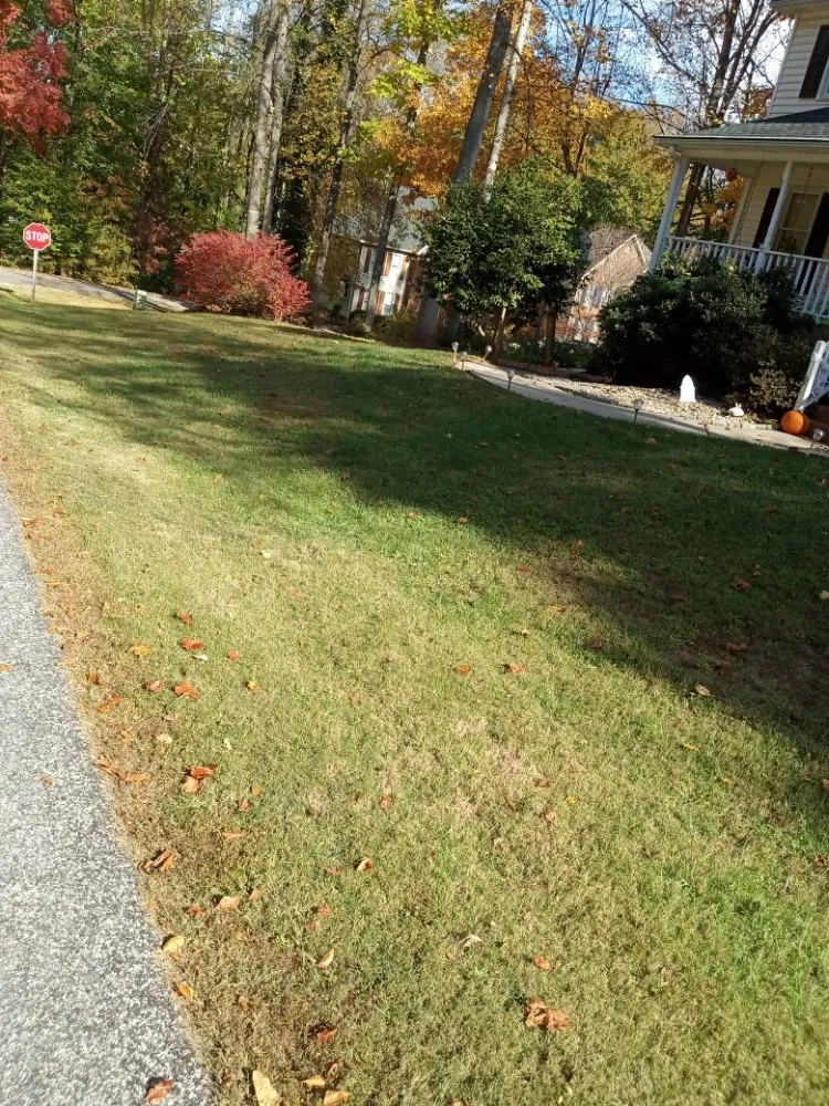 Top-rated garden landscaping in Walkertown, NC - Get Them Gone Leaf Removal
