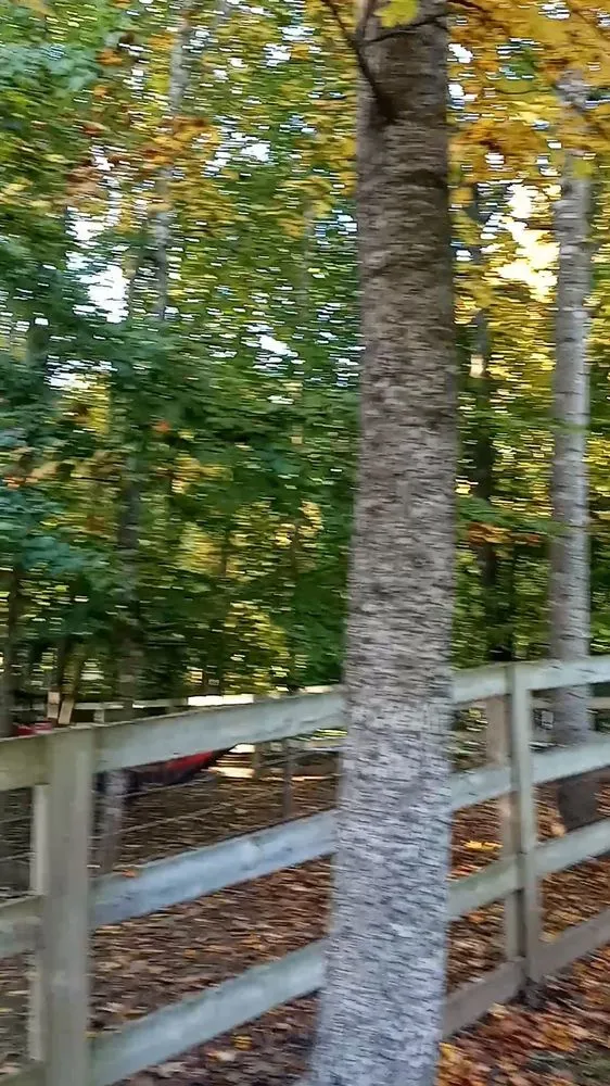 Trusted lawn mowing service in Walkertown, NC - Get Them Gone Leaf Removal