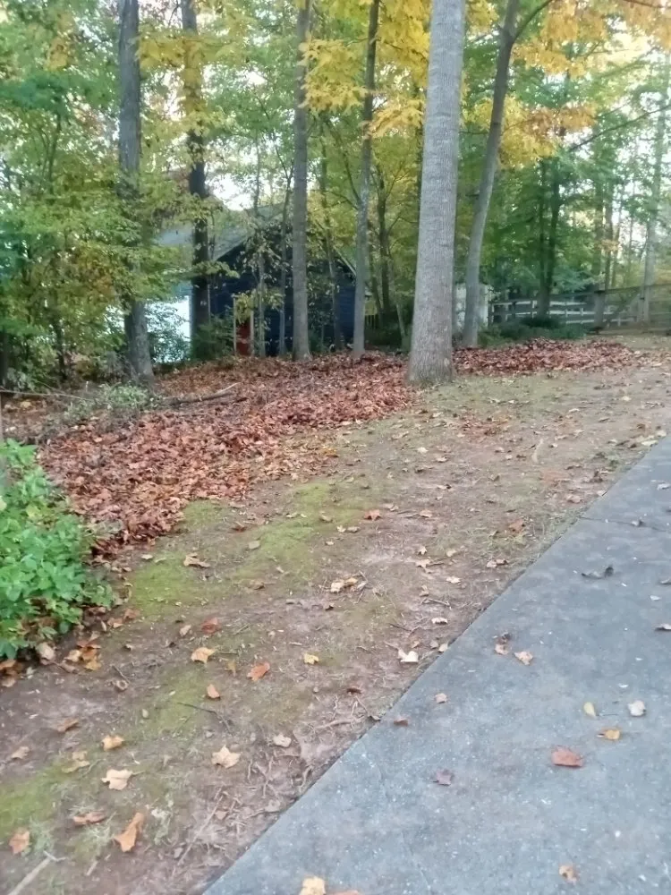 Top-rated garden landscaping for outdoor upgrades across Walkertown, NC - Get Them Gone Leaf Removal