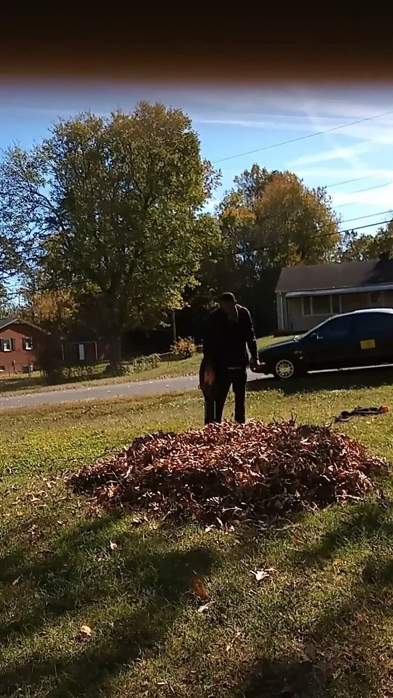 Expert yard cleanup service in Walkertown, NC - Get Them Gone Leaf Removal