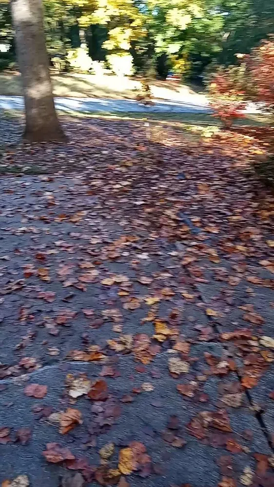 Local landscaping services for outdoor upgrades across Walkertown, NC - Get Them Gone Leaf Removal