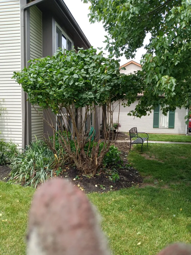 Local yard maintenance for residential properties in Richmond Heights, OH by Get To the Beds Landscaping